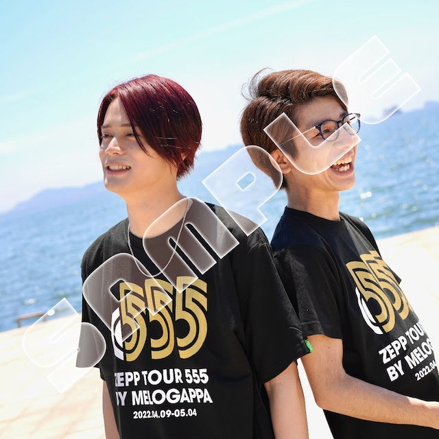 【写真集】MELOGAPPAさんぽ① 宮城が誇る日本三景 快晴の松島編