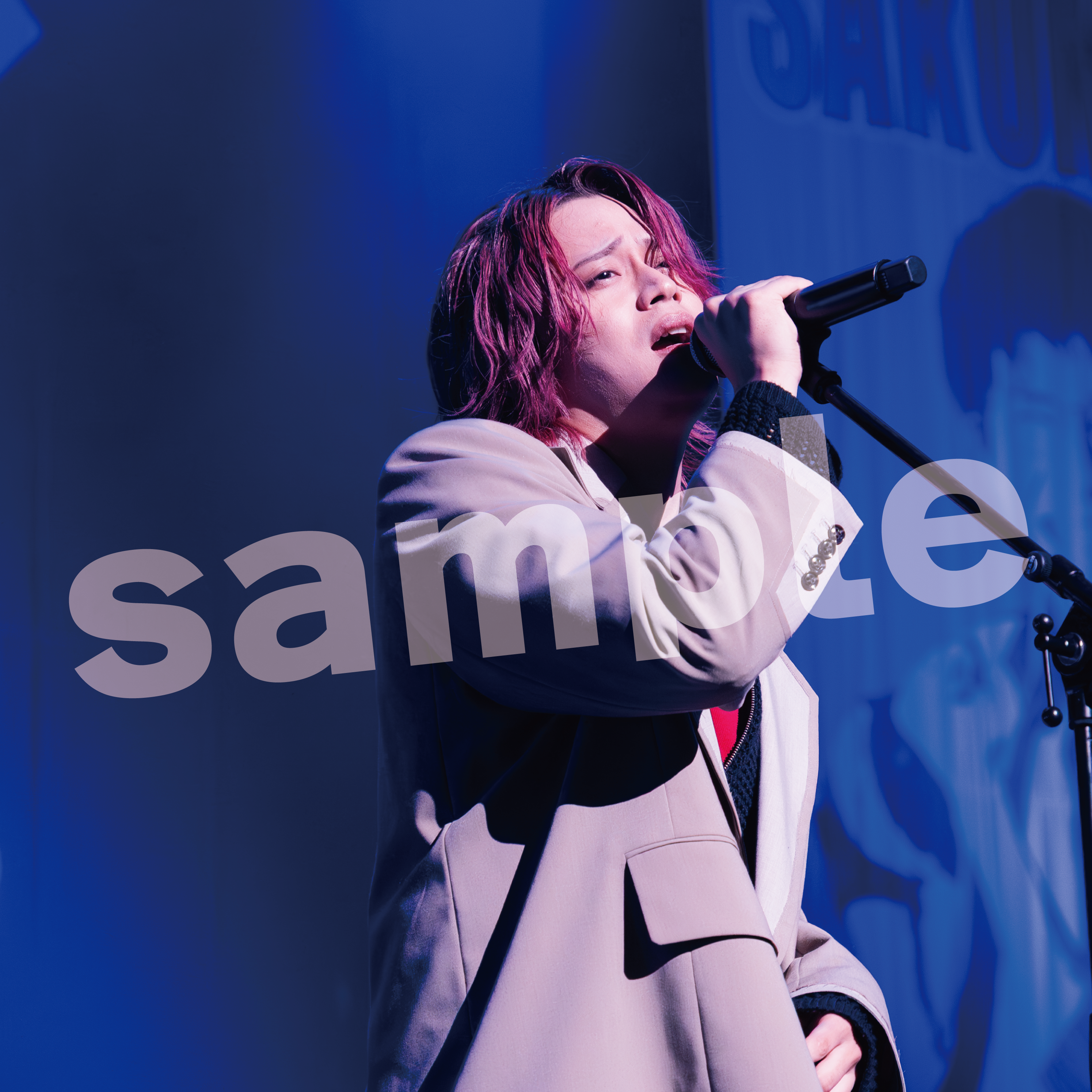 【写真集】INCUBATION TOUR