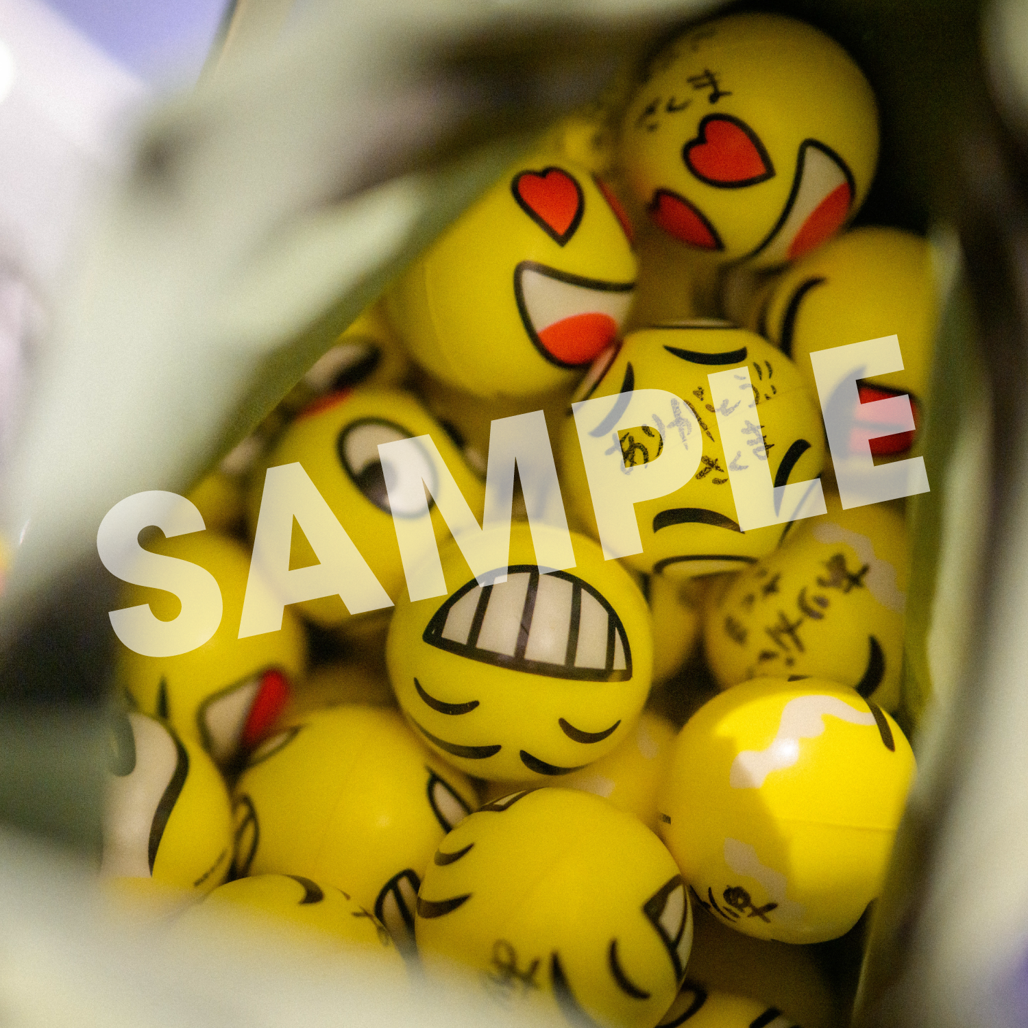 【写真集】SARA TOUR
