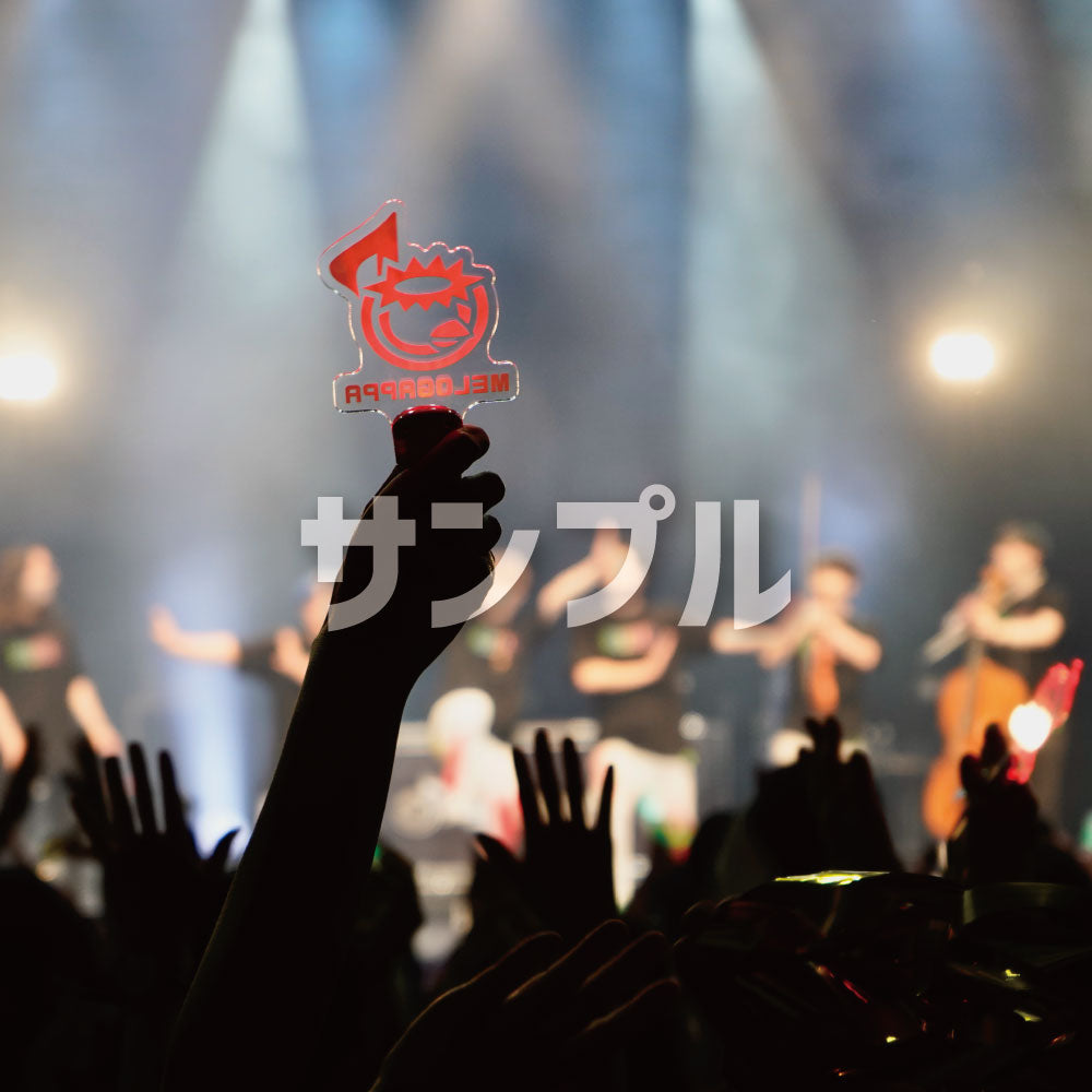 写真集】ZEPP TOUR 555 〜MELOGAPPA初めての全国ツアー!!〜